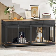 two dogs sitting in their kennels at the bottom of stairs with pictures on top