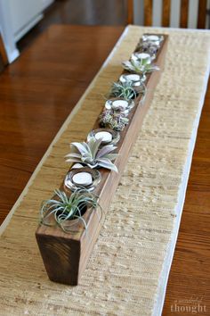 a table runner with succulents and air plants in it on top of a wooden