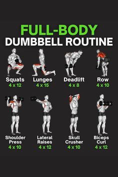 Try this dumbbell only workout if you are limited to equipment and want to build muscles. Full Body Dumbbell, Workout Plan For Men, Gym Workout Planner, Full Body Workout Routine, Full Body Workout At Home