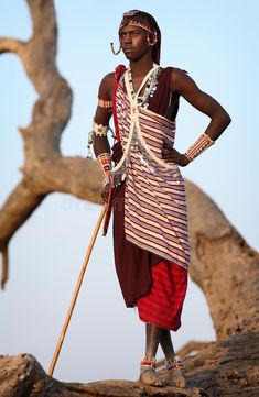 an african man standing on top of a tree branch with a stick in his hand