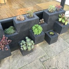 a bunch of plants that are in some concrete blocks