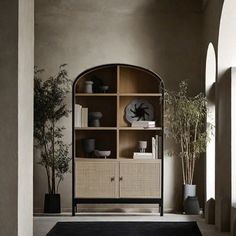 a living room filled with furniture next to a tall book shelf and potted plants