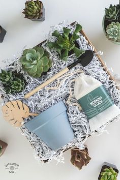 an assortment of succulents and gardening tools in a box on a table