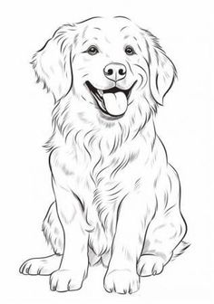 a drawing of a golden retriever sitting down with its tongue out and his eyes open