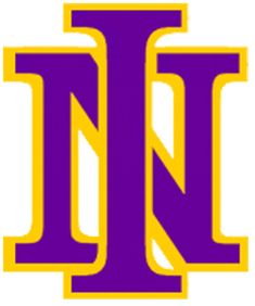 the letter n in purple and yellow