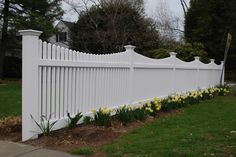 a white picket fence with daffodils in the foreground