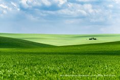 a green field with two trees in the distance