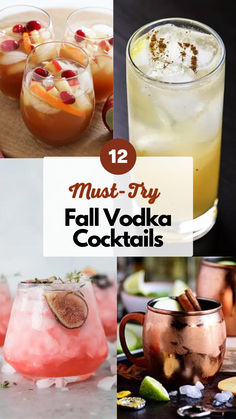 Fall Vodka Cocktails Autumn Mixed Drinks, Yummy Fall Cocktails, Cute Vodka Cocktails, Fall Apple Cocktail Recipes, Fall Frozen Cocktails, Housewarming Cocktails, Fall Inspired Vodka Cocktails, Pretty Vodka Cocktails, Spiked Fall Drinks