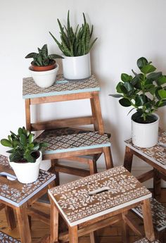 three wooden stools with plants on them and two potted plants sitting on top