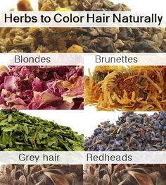 Hair Color Recipes, Homemade Hair Color, Darken Hair Naturally, Chamomile Hair, Coffee Hair Dye, Lighten Hair Naturally, Lighten Hair, Flower Bonsai