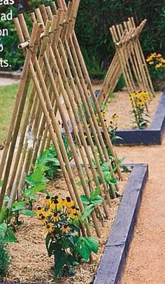 an outdoor garden with several wooden trelliss and flowers in the ground next to it