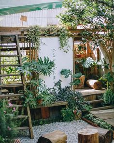 an outdoor area with wooden benches and plants