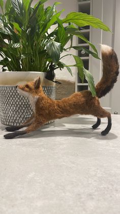 Needle felted fox approximately 8 1/2 inches long from the base of his tail to the nose.  Wire armature so the pose can be altered. Needle Felting Fox, Fox Sitting, Felted Fox, Needle Felted Fox, Felted Crochet, Wire Armature, Felt Fox, Snow Owl, Felting Ideas