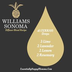 Essential Oil Combos, Essential Oil Perfumes Recipes, Essential Oil Combinations, Doterra Essential Oils Recipes, Young Living Essential Oils Recipes, Essential Oils Guide, Oil Remedies, Essential Oils Herbs