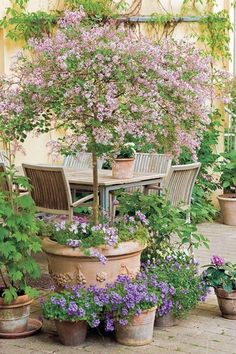 an outdoor dining table surrounded by potted plants and purple flowers on the side of a building