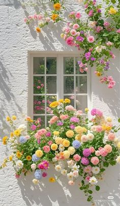 Flowers On House, Flowers In House, Windows With Flowers, Flowers On Window, Flowers Window, Window Garden, Flower Window, Nothing But Flowers, Flower Therapy