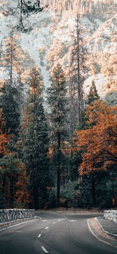 an empty road surrounded by tall trees with orange leaves on the ground and mountains in the background