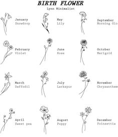 the birth flower chart is shown in black and white