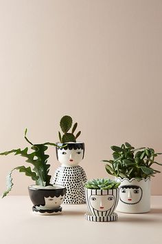 three pots with plants in them sitting on a table next to each other and one has a face painted on it