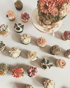 several cupcakes are arranged on a table