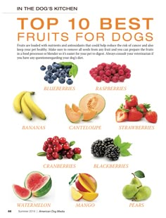 the top 10 best fruits for dogs is shown in this poster, which shows different types of fruit