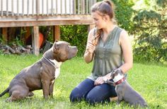 a woman sitting in the grass with two dogs