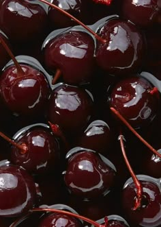 closeup of cherries in a bowl with red stems