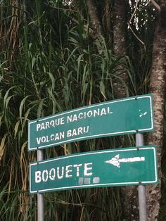 two green street signs sitting next to each other on top of a lush green forest