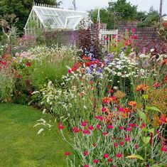 a garden filled with lots of colorful flowers