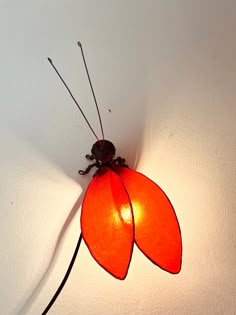 an insect is sitting on the wall with its head turned to look like a flower