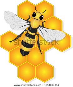 a bee sitting on top of a honeycomb in the shape of a hexagon