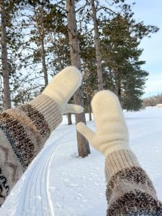 Aesthetic Mittens, Snow Pictures Aesthetic, Instagram Inspo Winter, Mittens Aesthetic, Aesthetic Snow Pictures, Winter Instagram Feed, January Photos, January Aesthetic, Seasons Aesthetic