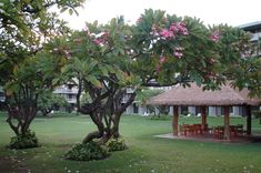 a small gazebo in the middle of a lush green park with pink flowers on it