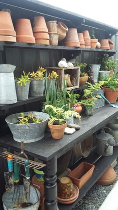 many pots and pans are lined up on a shelf in a garden shop or yard