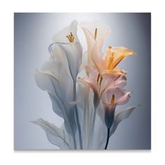 some white and pink flowers are in a vase on a gray background with light coming from behind them