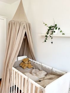 a teddy bear sitting in a crib next to a potted plant on the wall