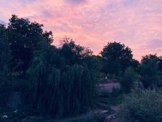 the sky is pink and purple as the sun sets in the distance behind some trees