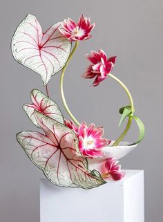 a white vase with pink flowers and green leaves