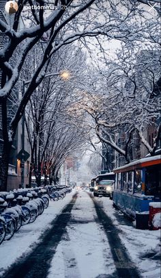 a snowy street lined with parked cars and bicycles next to tall trees covered in snow