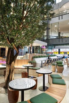 the inside of a restaurant with tables and benches under a tree in front of it