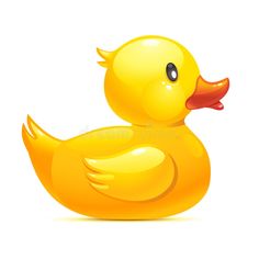 a yellow rubber ducky on a white background stock photo, images and royalty illustrations