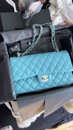 Blue Chanel, Outfits Cold, Luxury Bags Collection, Thanksgiving Outfits, Weather Outfits, Handbag Essentials, 10 Points, Tote Bag Patters