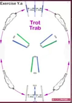 a diagram showing how to use the trot trap