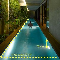 an indoor swimming pool in the middle of a room with plants on either side and yellow arrows pointing to it