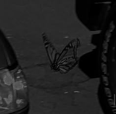 a black and white photo of a butterfly on the ground next to a parked car