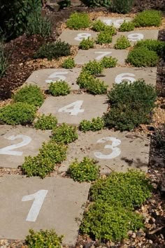 a garden path made out of cement blocks with numbers painted on the sides and plants growing in the middle