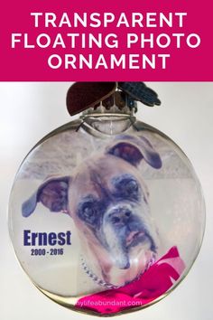 a glass ornament with a dog's face on it and the words transparent floating photo ornament