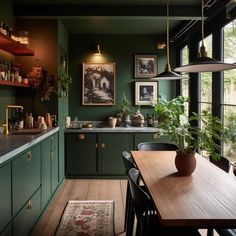 a kitchen with green walls and wooden flooring, potted plants on the counter