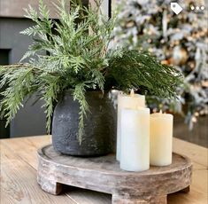 three candles sitting on top of a wooden table next to a potted pine tree