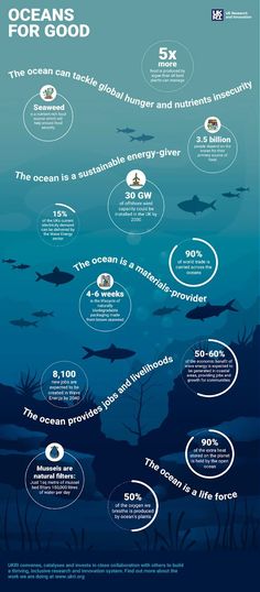 the ocean is full of different types of animals